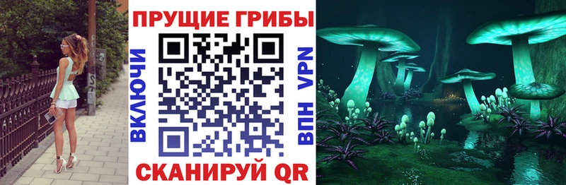 Псилоцибиновые грибы мицелий  Купить закладки  Болгар 