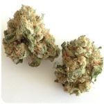 Шишки "White Widow"  (Белая вдова)  Гидропоника -  Бошка VHQ в Болгаре