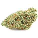 Шишки OG Kush  (Гидропоника, бошки) VHQ в Болгаре